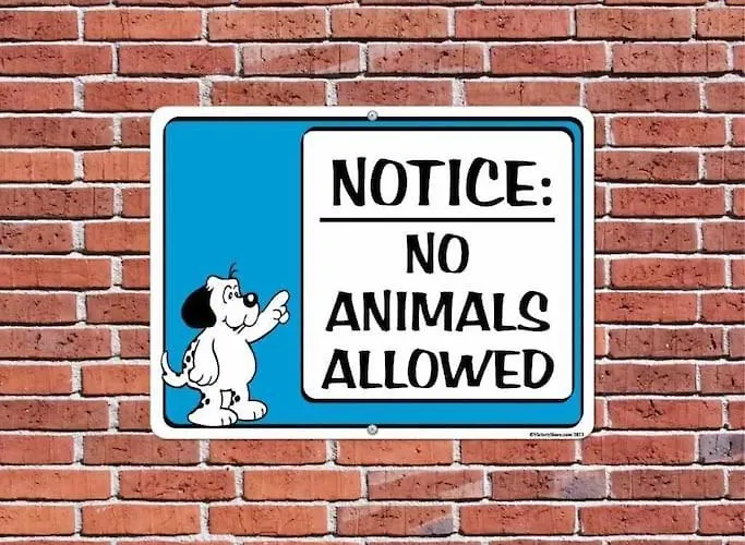 Daire Uniklinikum Und Messe Essen, Netflix, Wlan Essen